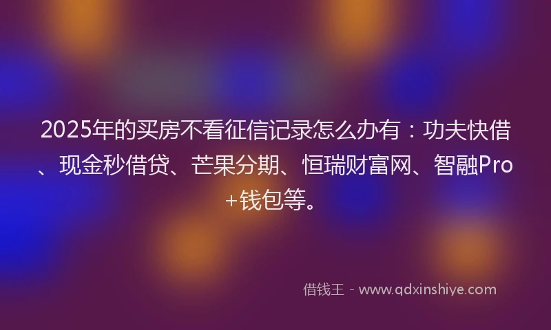 2025年的买房不看征信记录怎么办有:功夫快借、现金秒借贷、芒果分期、恒瑞财富网、智融Pro+钱包等。