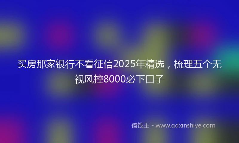 买房那家银行不看征信2025年精选，梳理五个无视风控8000必下口子