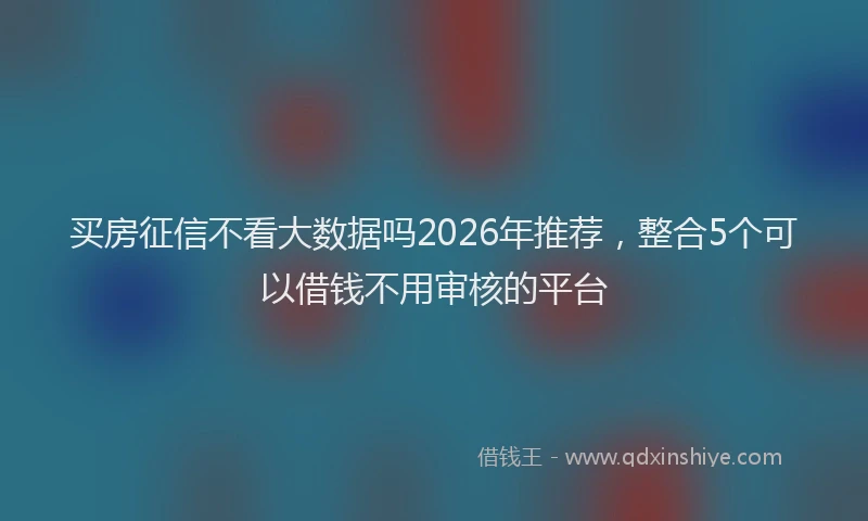 买房征信不看大数据吗2026年推荐，整合5个可以借钱不用审核的平台