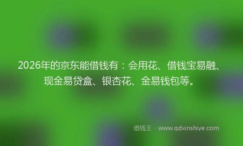 2026年的京东能借钱有：会用花、借钱宝易融、现金易贷盒、银杏花、金易钱包等。