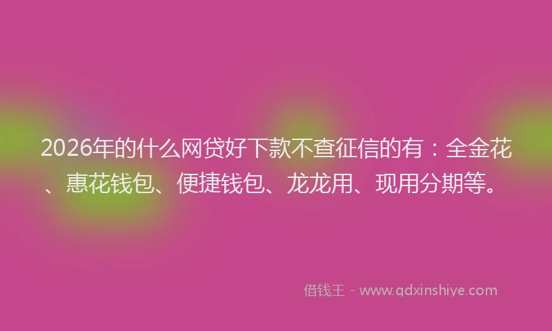 2026年的什么网贷好下款不查征信的有：全金花、惠花钱包、便捷钱包、龙龙用、现用分期等。