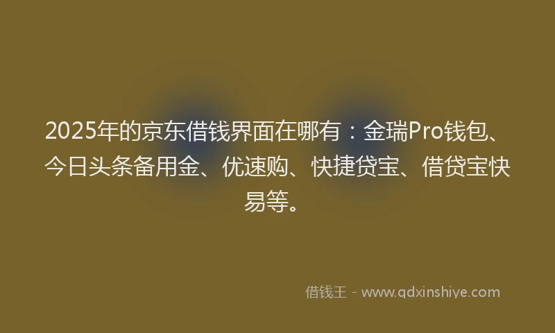 2025年的京东借钱界面在哪有：金瑞Pro钱包、今日头条备用金、优速购、快捷贷宝、借贷宝快易等。