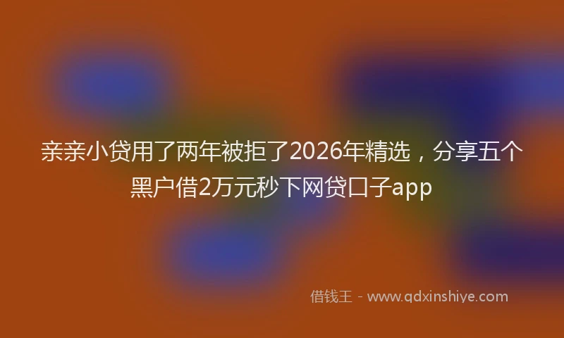 亲亲小贷用了两年被拒了2026年精选，分享五个黑户借2万元秒下网贷口子app