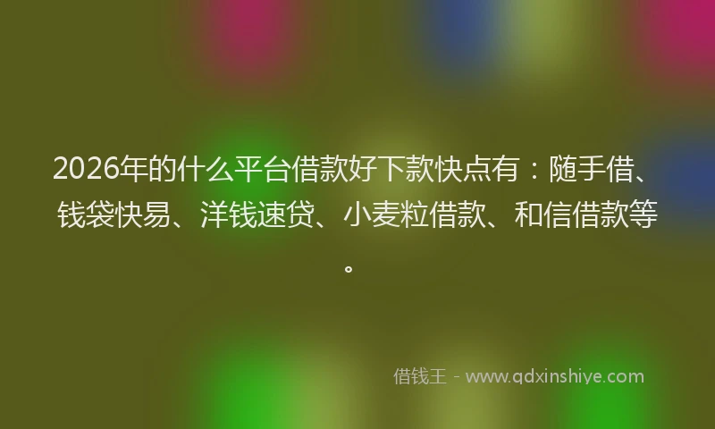 2026年的什么平台借款好下款快点有：随手借、钱袋快易、洋钱速贷、小麦粒借款、和信借款等。
