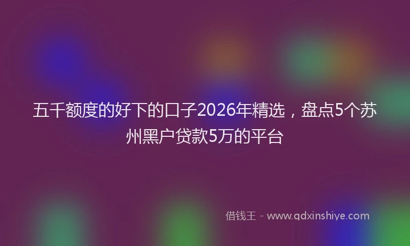 五千额度的好下的口子2026年精选，盘点5个苏州黑户贷款5万的平台