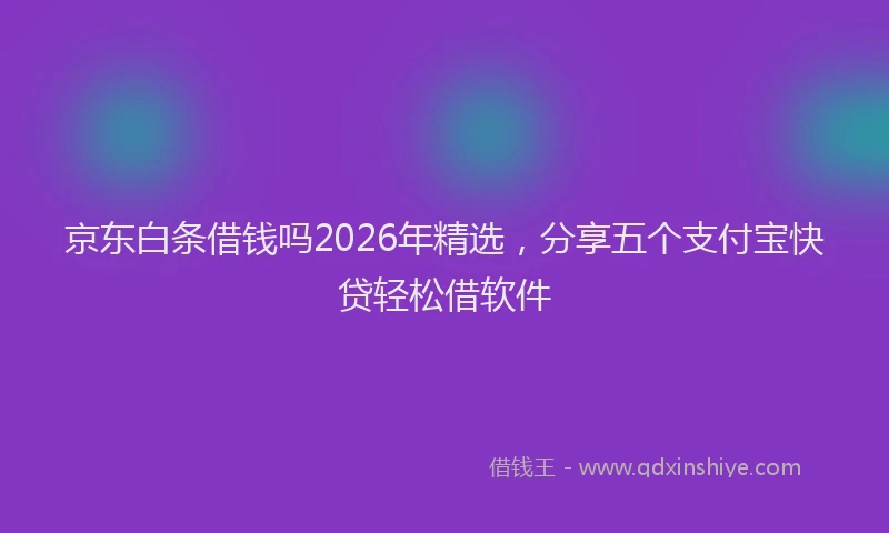 京东白条借钱吗2026年精选,分享五个支付宝快贷轻松借软件