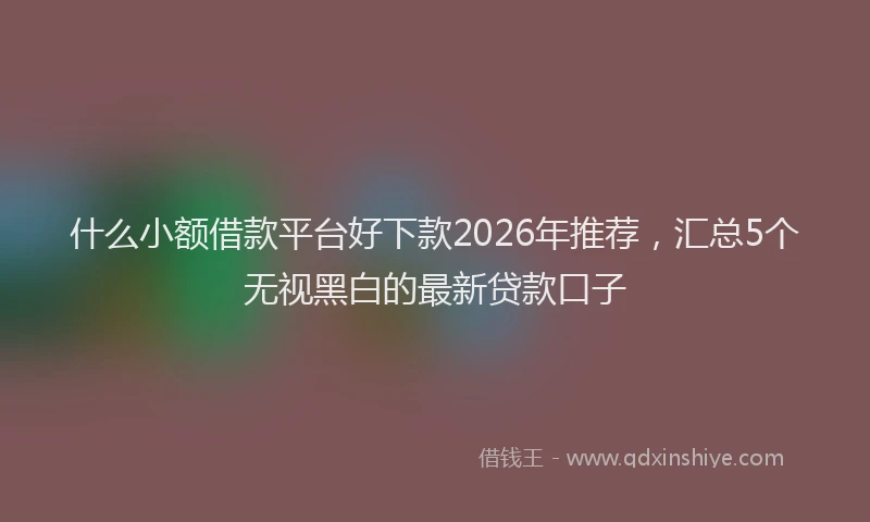 什么小额借款平台好下款2026年推荐，汇总5个无视黑白的最新贷款口子
