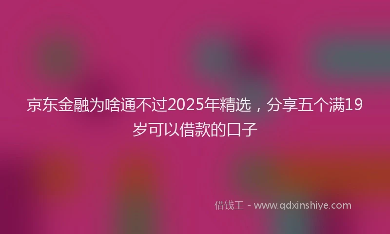 京东金融为啥通不过2025年精选，分享五个满19岁可以借款的口子