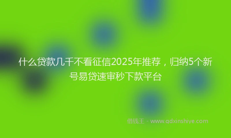 什么贷款几千不看征信2025年推荐,归纳5个新号易贷速审秒下款平台