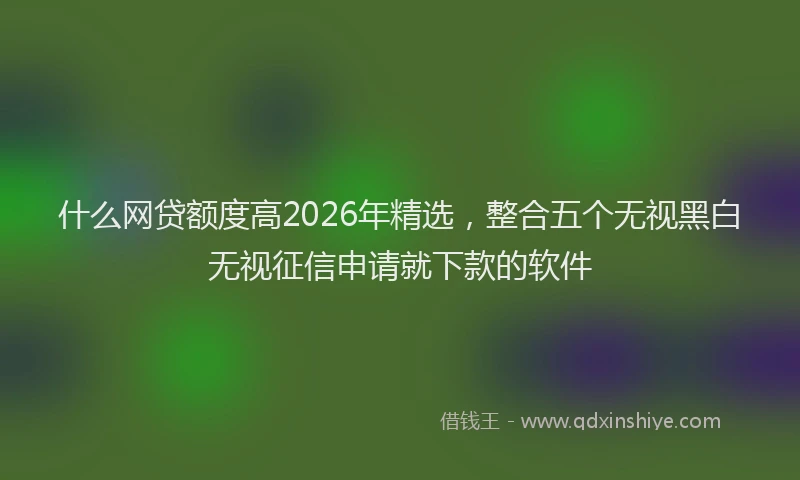 什么网贷额度高2026年精选，整合五个无视黑白无视征信申请就下款的软件