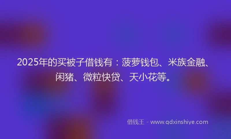 2025年的买被子借钱有：菠萝钱包、米族金融、闲猪、微粒快贷、天小花等。