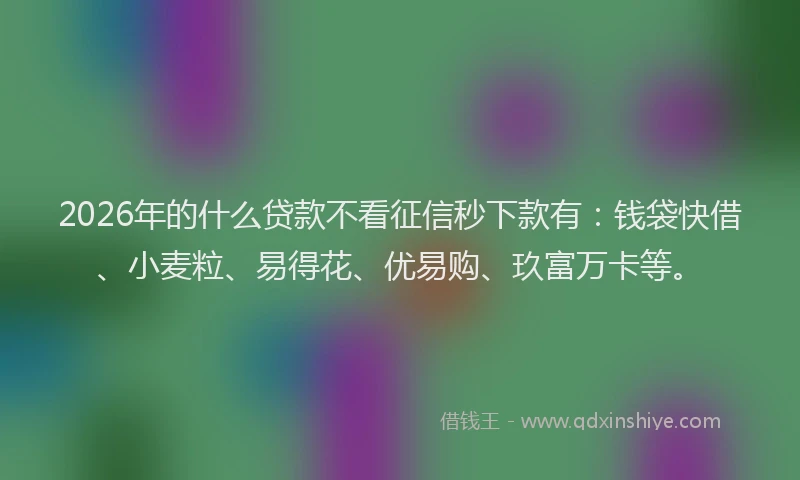 2026年的什么贷款不看征信秒下款有:钱袋快借、小麦粒、易得花、优易购、玖富万卡等。