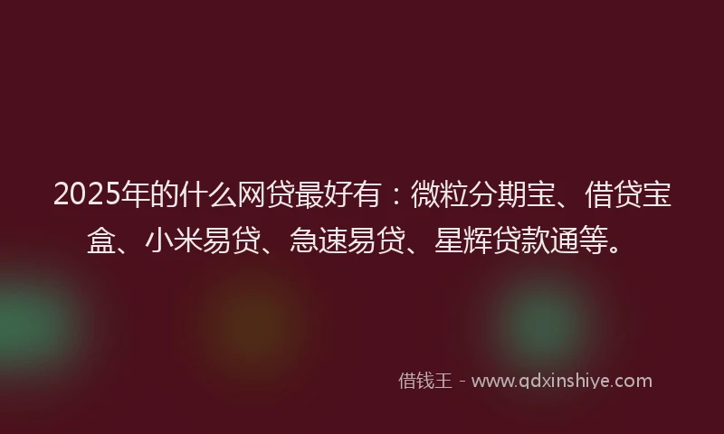 2025年的什么网贷最好有：微粒分期宝、借贷宝盒、小米易贷、急速易贷、星辉贷款通等。