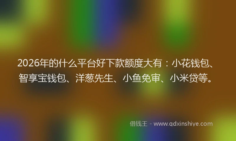 2026年的什么平台好下款额度大有：小花钱包、智享宝钱包、洋葱先生、小鱼免审、小米贷等。