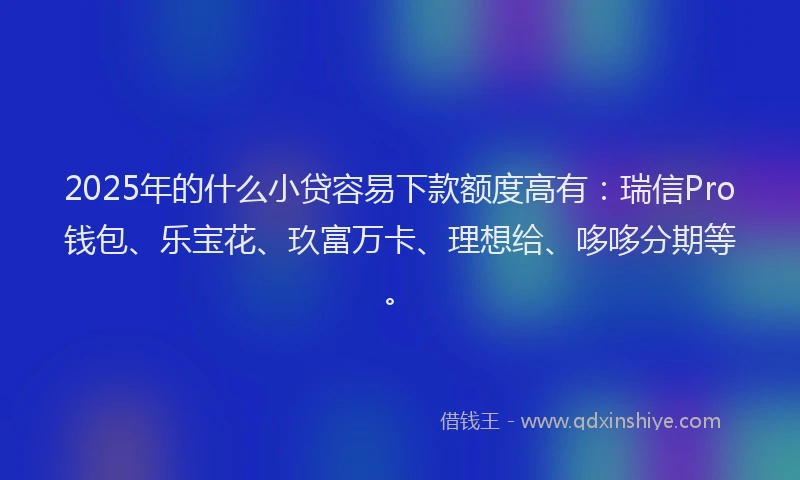 2025年的什么小贷容易下款额度高有：瑞信Pro钱包、乐宝花、玖富万卡、理想给、哆哆分期等。