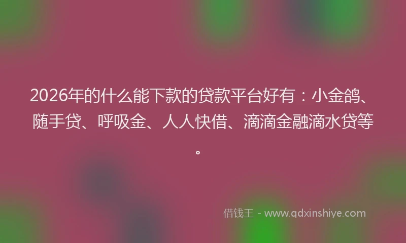2026年的什么能下款的贷款平台好有：小金鸽、随手贷、呼吸金、人人快借、滴滴金融滴水贷等。