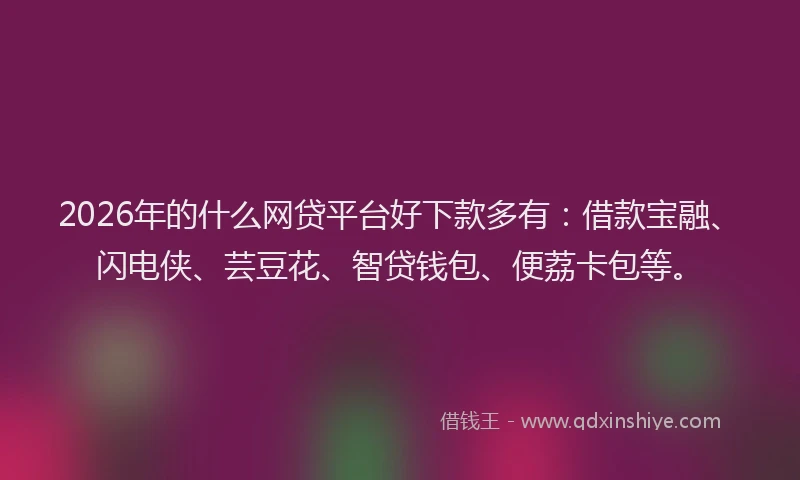 2026年的什么网贷平台好下款多有：借款宝融、闪电侠、芸豆花、智贷钱包、便荔卡包等。