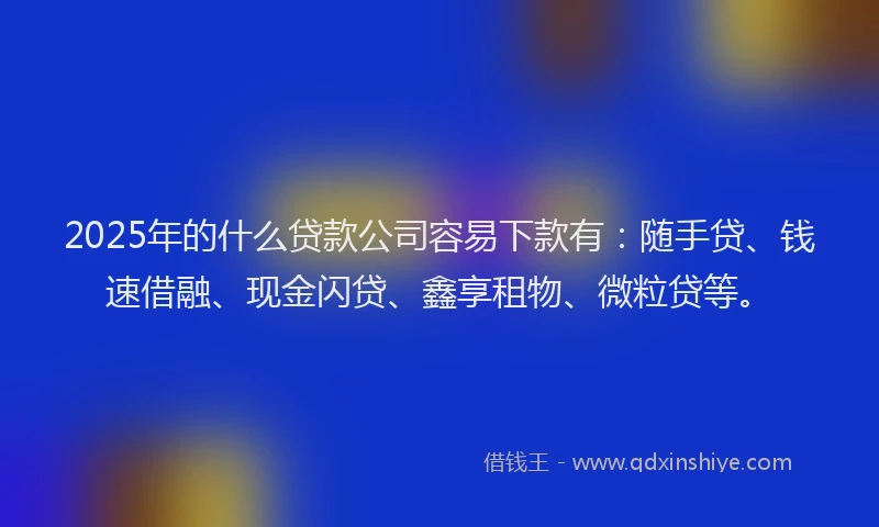 2025年的什么贷款公司容易下款有：随手贷、钱速借融、现金闪贷、鑫享租物、微粒贷等。