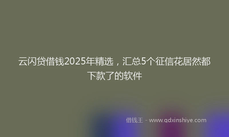 云闪贷借钱2025年精选，汇总5个征信花居然都下款了的软件