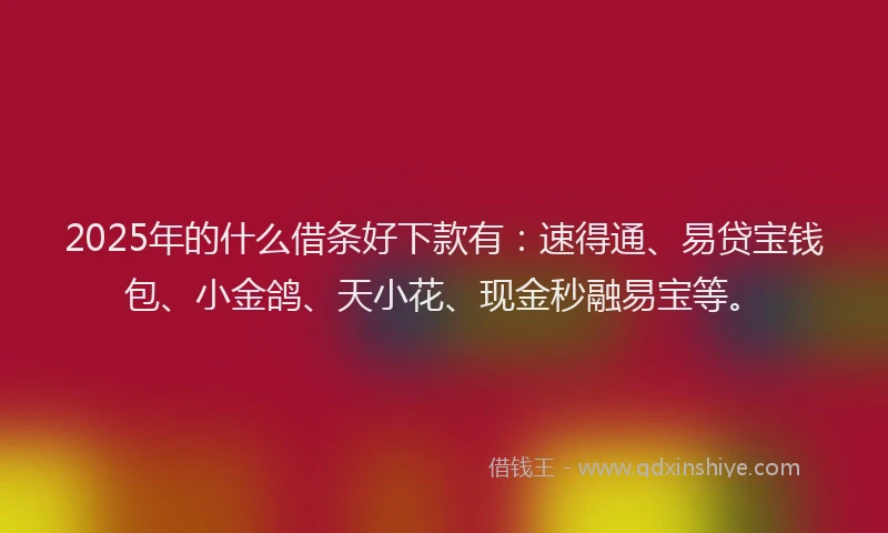 2025年的什么借条好下款有：速得通、易贷宝钱包、小金鸽、天小花、现金秒融易宝等。