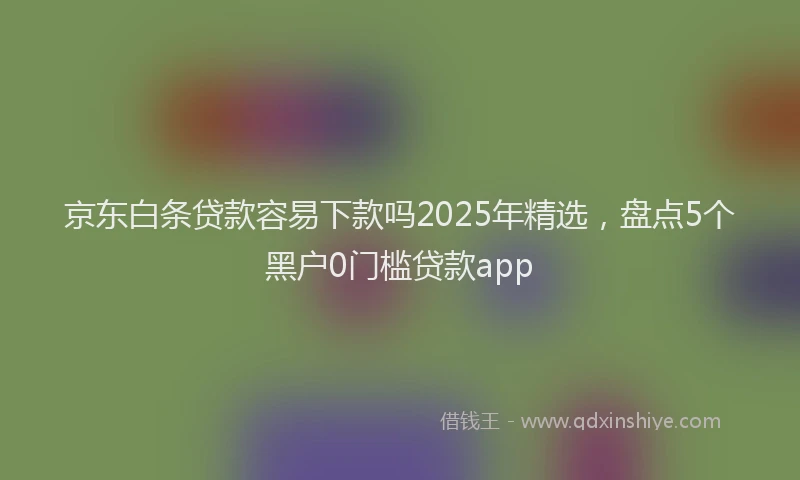 京东白条贷款容易下款吗2025年精选，盘点5个黑户0门槛贷款app