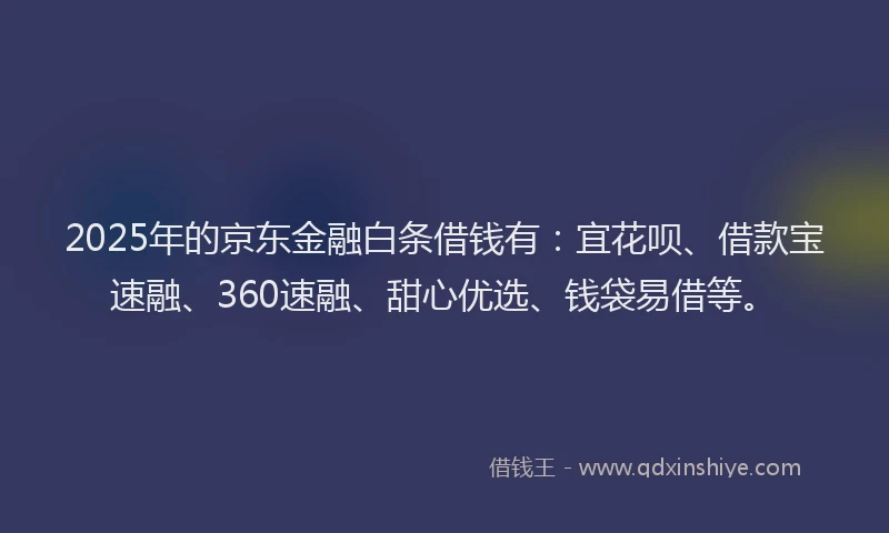 2025年的京东金融白条借钱有:宜花呗、借款宝速融、360速融、甜心优选、钱袋易借等。
