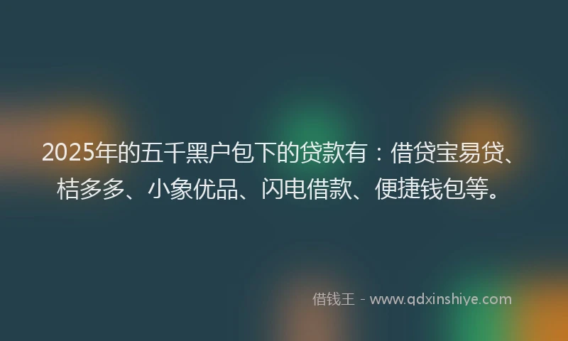 2025年的五千黑户包下的贷款有:借贷宝易贷、桔多多、小象优品、闪电借款、便捷钱包等。