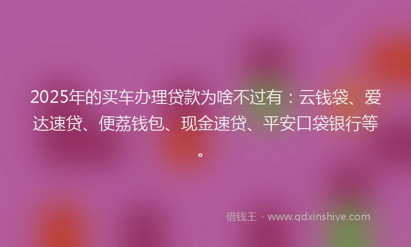 2025年的买车办理贷款为啥不过有：云钱袋、爱达速贷、便荔钱包、现金速贷、平安口袋银行等。