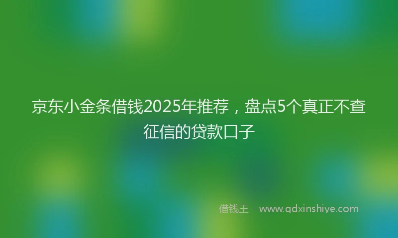 京东小金条借钱2025年推荐，盘点5个真正不查征信的贷款口子