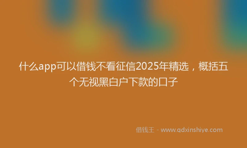 什么app可以借钱不看征信2025年精选，概括五个无视黑白户下款的口子