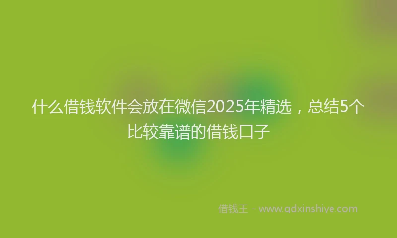 什么借钱软件会放在微信2025年精选，总结5个比较靠谱的借钱口子