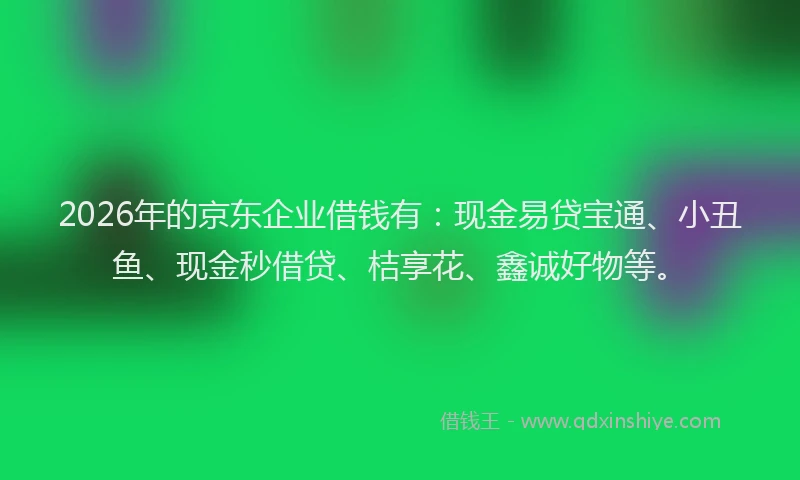 2026年的京东企业借钱有:现金易贷宝通、小丑鱼、现金秒借贷、桔享花、鑫诚好物等。