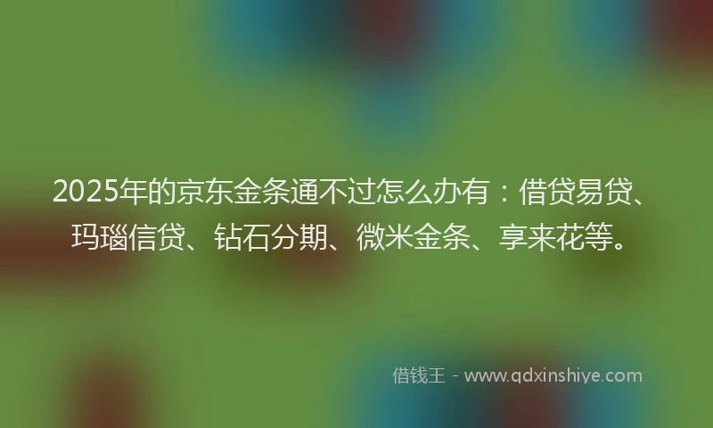 2025年的京东金条通不过怎么办有：借贷易贷、玛瑙信贷、钻石分期、微米金条、享来花等。