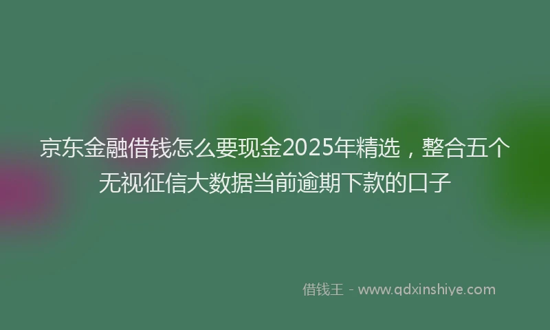 京东金融借钱怎么要现金2025年精选，整合五个无视征信大数据当前逾期下款的口子