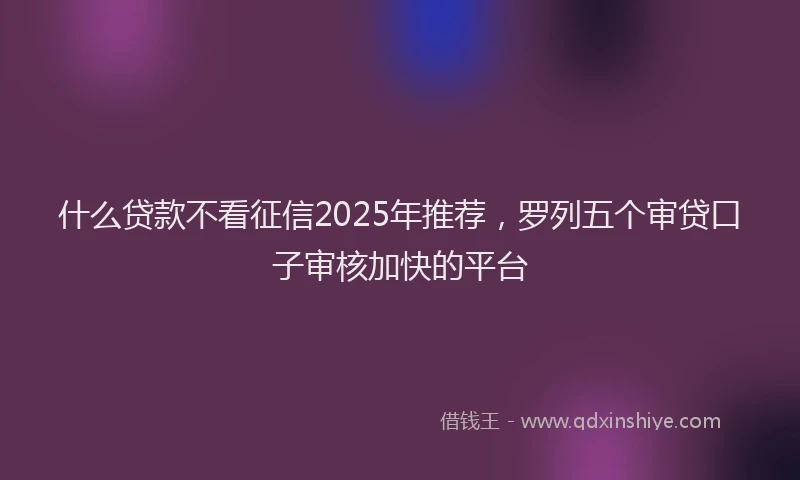 什么贷款不看征信2025年推荐,罗列五个审贷口子审核加快的平台