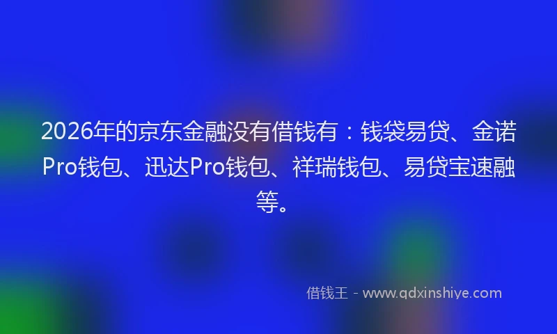 2026年的京东金融没有借钱有:钱袋易贷、金诺Pro钱包、迅达Pro钱包、祥瑞钱包、易贷宝速融等。