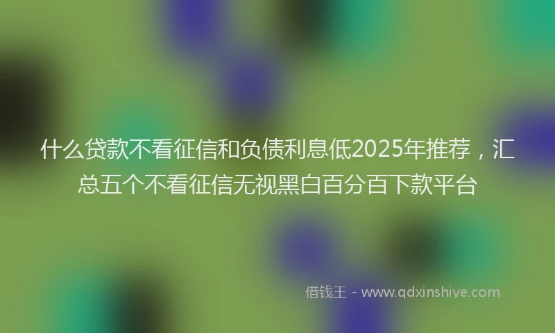 什么贷款不看征信和负债利息低2025年推荐，汇总五个不看征信无视黑白百分百下款平台