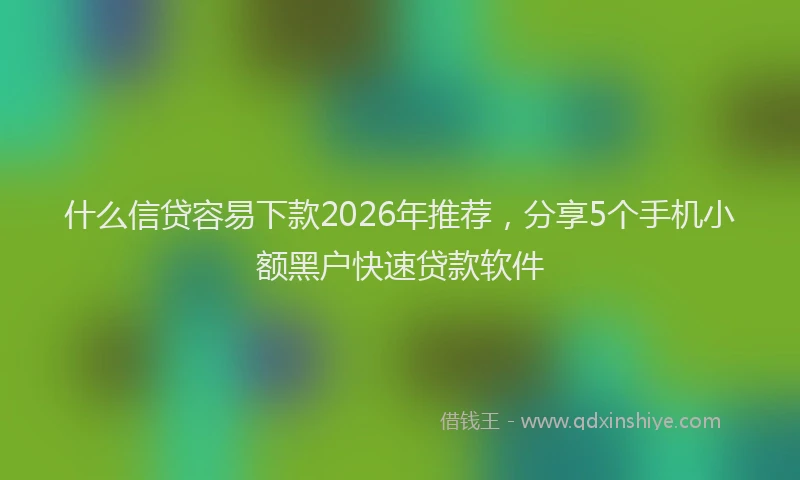 什么信贷容易下款2026年推荐，分享5个手机小额黑户快速贷款软件