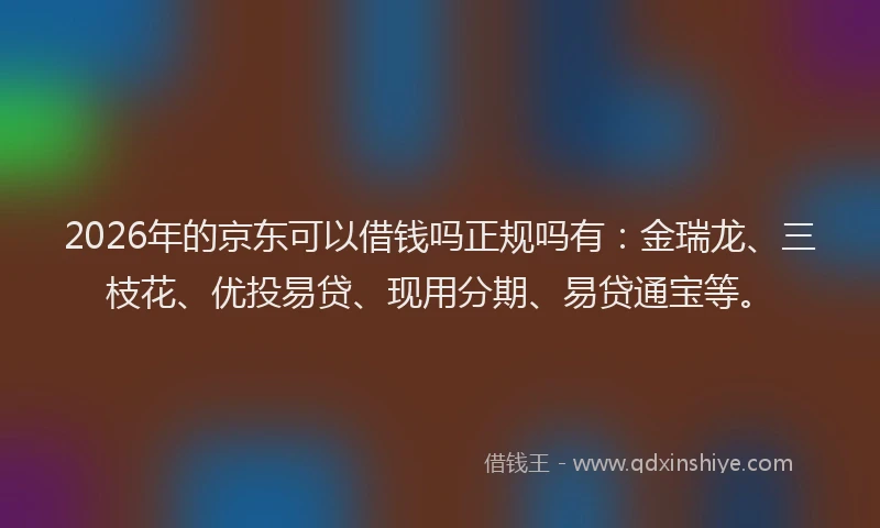 2026年的京东可以借钱吗正规吗有：金瑞龙、三枝花、优投易贷、现用分期、易贷通宝等。