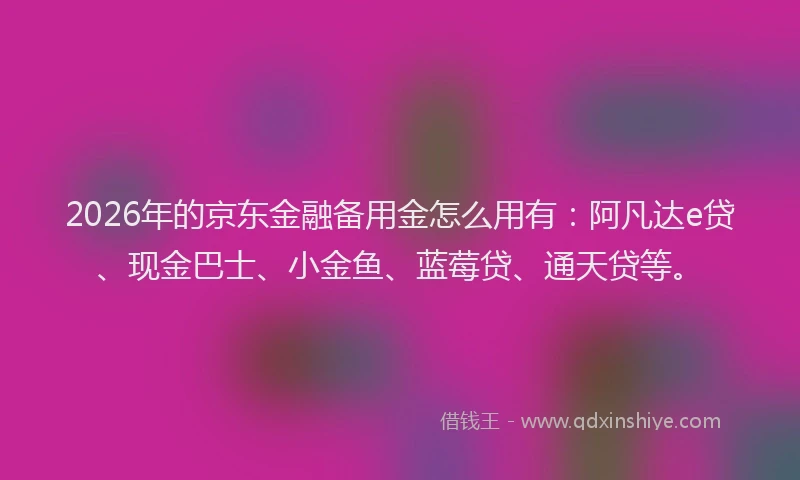 2026年的京东金融备用金怎么用有：阿凡达e贷、现金巴士、小金鱼、蓝莓贷、通天贷等。