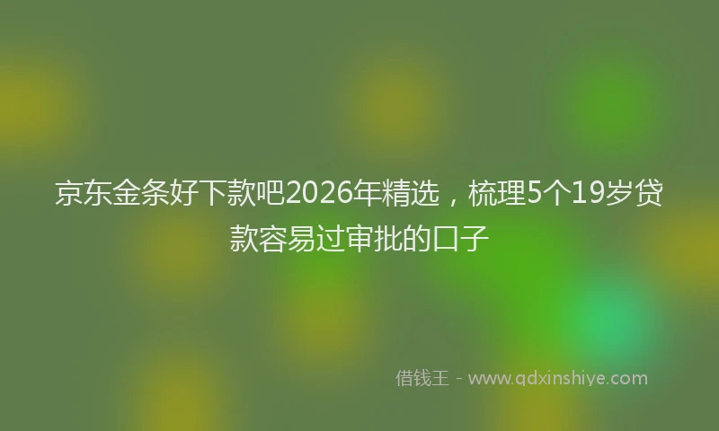 京东金条好下款吧2026年精选，梳理5个19岁贷款容易过审批的口子