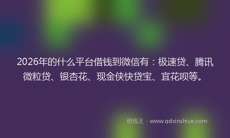 2026年的什么平台借钱到微信有：极速贷、腾讯微粒贷、银杏花、现金侠快贷宝、宜花呗等。