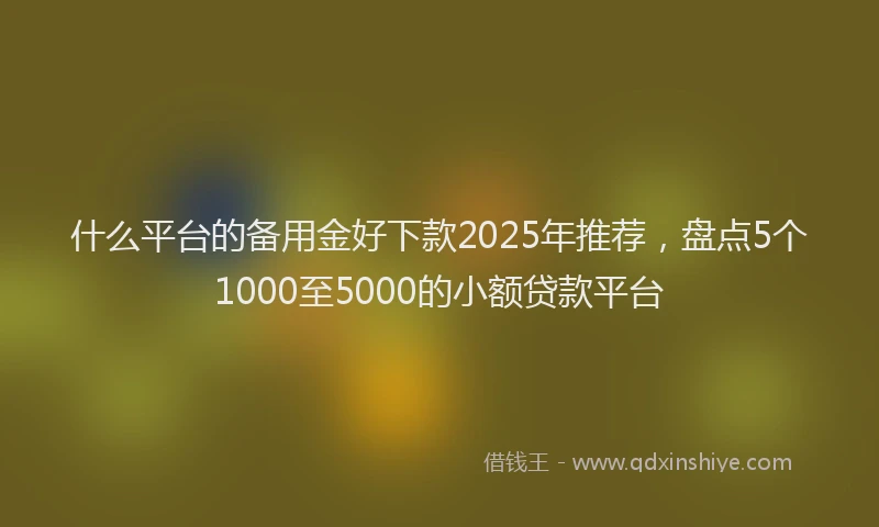 什么平台的备用金好下款2025年推荐,盘点5个1000至5000的小额贷款平台