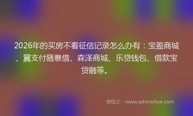 2026年的买房不看征信记录怎么办有：宝盈商城、翼支付随意借、森泽商城、乐贷钱包、借款宝贷融等。