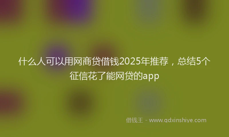 什么人可以用网商贷借钱2025年推荐，总结5个征信花了能网贷的app