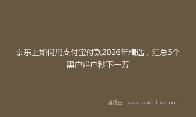 京东上如何用支付宝付款2026年精选，汇总5个黑户烂户秒下一万