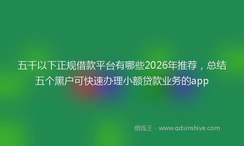 五千以下正规借款平台有哪些2026年推荐，总结五个黑户可快速办理小额贷款业务的app
