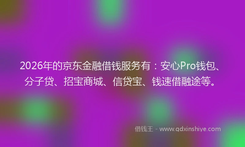 2026年的京东金融借钱服务有:安心Pro钱包、分子贷、招宝商城、信贷宝、钱速借融途等。