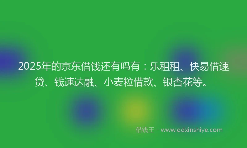 2025年的京东借钱还有吗有:乐租租、快易借速贷、钱速达融、小麦粒借款、银杏花等。