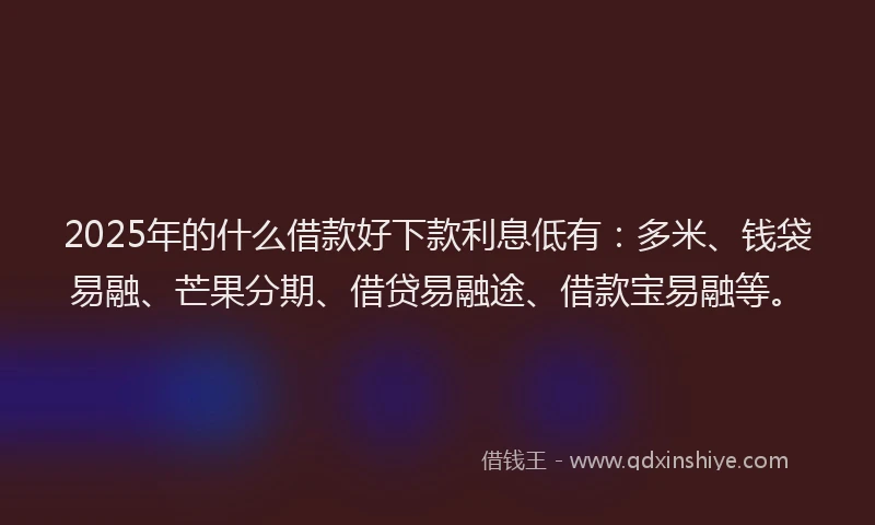 2025年的什么借款好下款利息低有：多米、钱袋易融、芒果分期、借贷易融途、借款宝易融等。